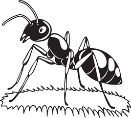 ant on white background vector