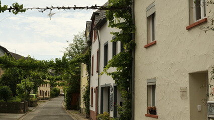 Weinort Neumagen-Dhron