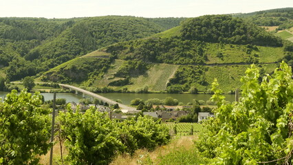 Moselbr&uuml;cke bei Neumagen-Dhron
