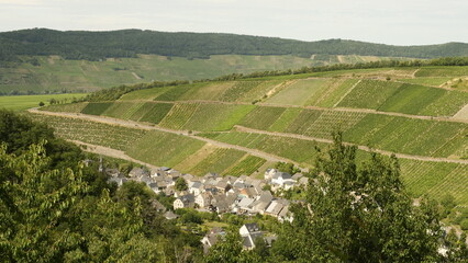 Ortsteil Dhron - Neumagen-Dhron