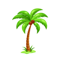 vector illustration of palm trees