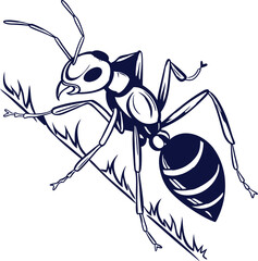 ant on a white background vector