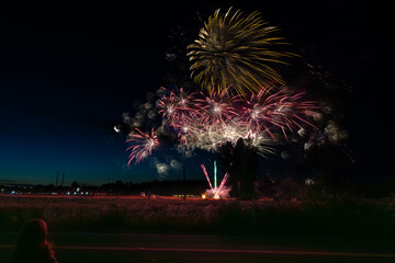 Fireworks exploding over moonlit sky — nighttime celebration with trees and roadside observer