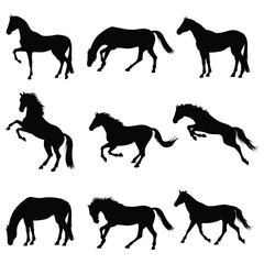 Silhouette horses in various poses against a white background