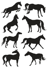Silhouette of multiple horses in various poses on a white background