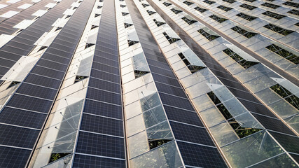 Sustainable greenhouse with rooftop solar panels bathed in morning sunlight for eco-friendly...