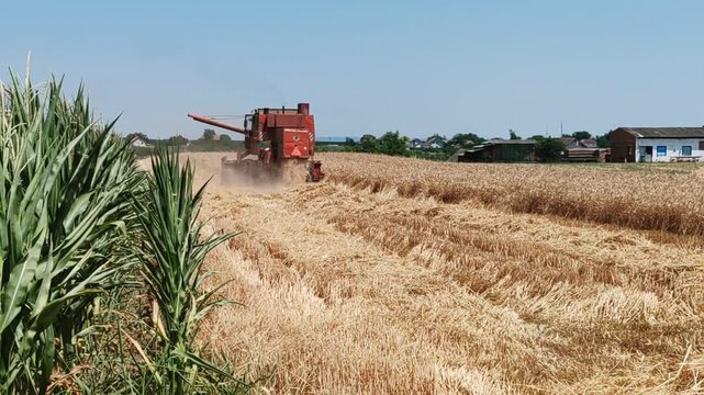 combine harvester working on a field