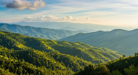 Obraz premium Serene Rolling Hills Bathed in Golden Sunlight