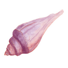 Watercolor light purple fantasy seashell from shore 