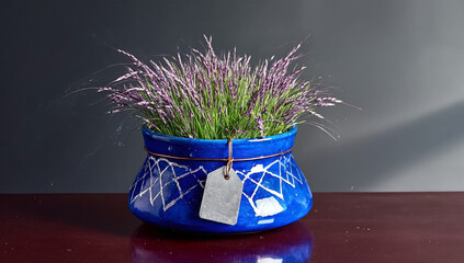 Ornamental Grass in a Decorative Blue Pot with Tag, Against a Dark Background.