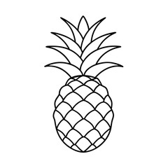 Fototapeta premium pineapple vector illustration