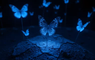 Photo sur Plexiglas Blue Butterflies on Cracked Ground