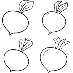 Turnip Coloring Page - Vegetable Line Art Illustration for Kids and Adults