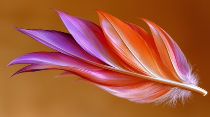 Naklejka premium Feather with purple and orange colors. The feather is in the air and has a long, thin stem