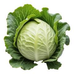 Obraz premium A Close-Up of a Fresh Green Cabbage with Transparent Background