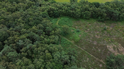 Aerial perspective of woodland area with trees and footpaths in open grassland area.
