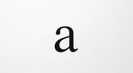 A lowercase letter a in a sans serif font on a white background in a centered composition view
