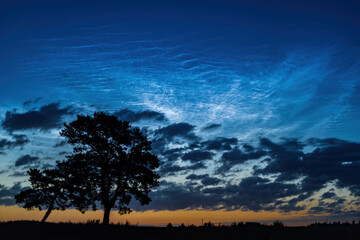 Noctilucent and tropospheric clouds glow in the early morning twilight, and the silhouettes of two...