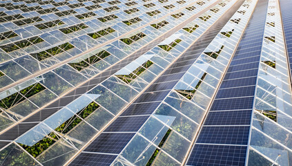 Sustainable greenhouse with rooftop solar panels bathed in morning sunlight for eco-friendly...