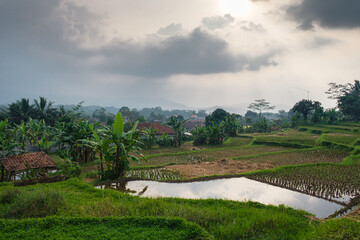 Lush Green Rice Terraces Under a Cloudy Sky and Warm Sunlight