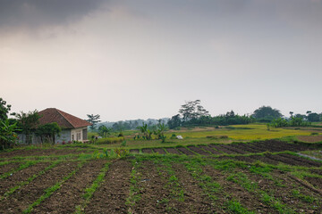 Rural Landscape with Fields, Trees, and a Small House Under Cloudy Skies