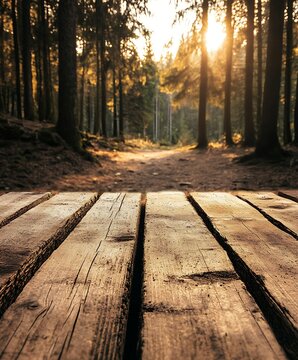 empty wooden table and green grass
