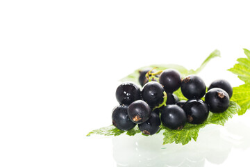large blackcurrant berry isolated on white background