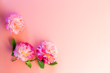 bouquet red roses for a holiday card