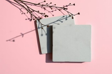 Gray Square Tiles with Delicate Dried Flowers on Pink Background Still Life Photography