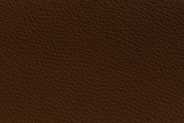 Deep chocolate brown leather with smooth surface