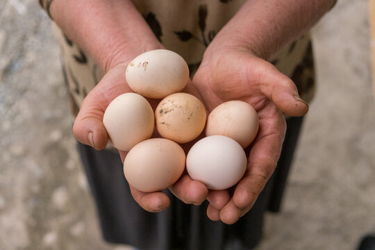 Traditional Rural Farming Scene in Pankisi Gorge, Georgia.