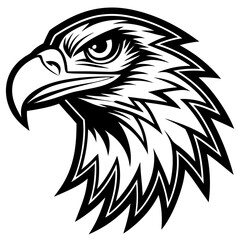 Fototapeta premium eagle head vector