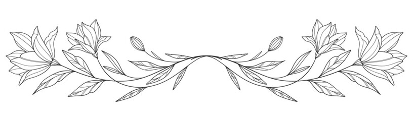 Fineline line art Floral Botany . flower drawings. Black and white with line art on white backgrounds. Hand Drawn Botanical Illustrations. Vector eps