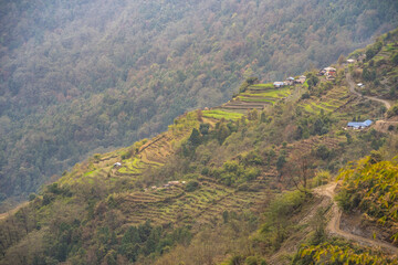 Fototapeta premium Mountain valley hiking trail from Ghorepani to Tadapani in Nepal - Scenic Himalayan landscape with terraced fields.