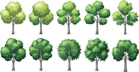Hand Drawn Green Tree Collection, Forest Foliage Clipart, Nature Plant Illustration, Summer Landscape Elements, Deciduous Trees Vector Set