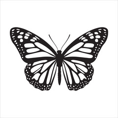 butterfly silhoutte vector illustration 