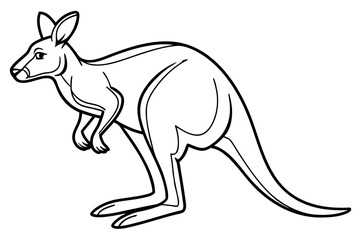 coloring page line art the kangaroo black vector