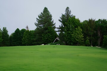 Futuristic neon sports car with glowing blue and green light trails and exposed engine capturing speed and motion in a cyberpunk style