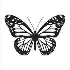butterfly silhoutte vector illustration 
