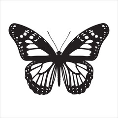 butterfly silhoutte vector illustration 