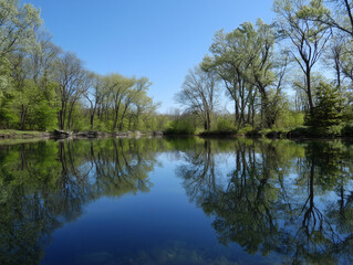 Fototapeta premium Still water surface reflecting blue sky and trees