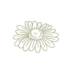 Original illustration of daisy flowers, minimalist ink line drawing 