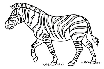 coloring page line art the zebra black vector