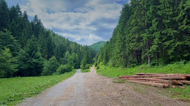 two roads in the mountains with timber on the side, POV walk, slow motion