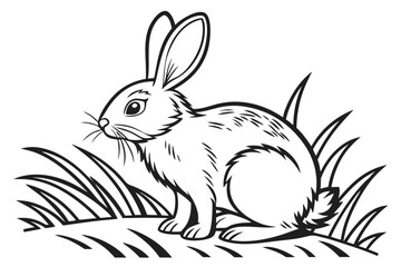 coloring page line art the rabbit black vector