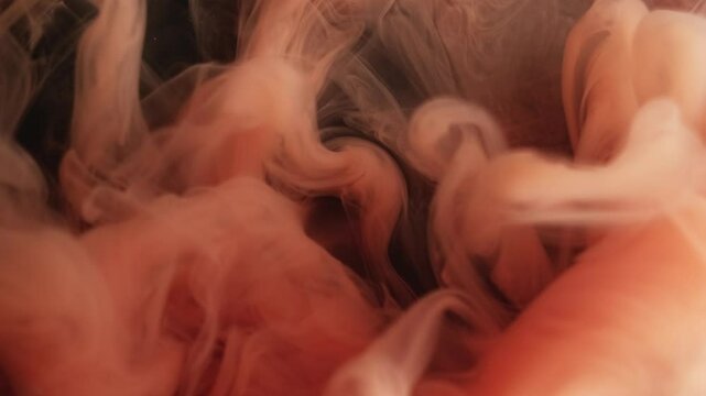 Smoke twist. Paint burst. Orange puff spray shot spread on black background. Abstract water color blob explosion blur haze fantasy mist.