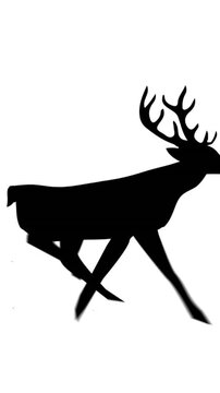 Digital animation of black silhouette of reindeer running against white background