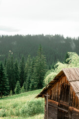 picturesque mountainside, hiking route, mountain road, mountain landscape