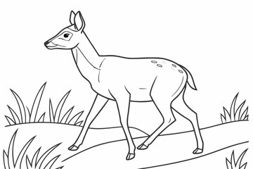coloring page line art the deer black vector