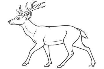 coloring page line art the deer black vector